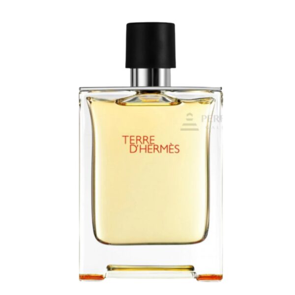 Hermes Terre D'Hermes H Bottle Eau De Toilette